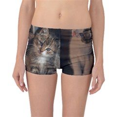 Cute Kitties Boyleg Bikini Bottoms