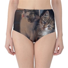 Cute Kitties High-waist Bikini Bottoms