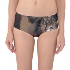 Cute Kitties Mid-waist Bikini Bottoms