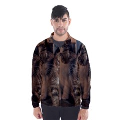 Cute Kitties Wind Breaker (men)