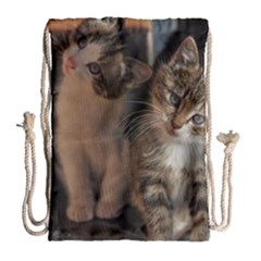 Cute Kitties Drawstring Bag (large)