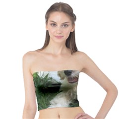 Cute Cavapoo Puppy Women s Tube Tops by trendistuff