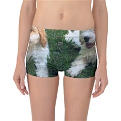 Cute Cavapoo Puppy Boyleg Bikini Bottoms by trendistuff