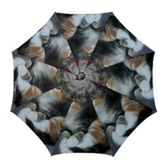 Comfy Kitty Golf Umbrellas