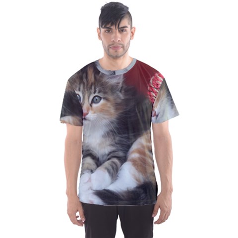 Comfy Kitty Men s Sport Mesh Tees by trendistuff