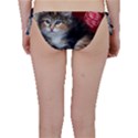 COMFY KITTY Bikini Bottoms View2