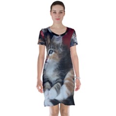 Comfy Kitty Short Sleeve Nightdresses by trendistuff