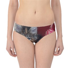 Comfy Kitty Hipster Bikini Bottoms by trendistuff