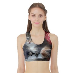 Comfy Kitty Women s Sports Bra With Border by trendistuff