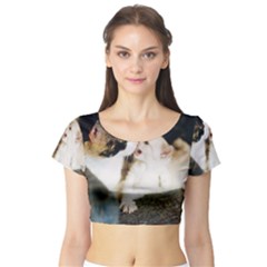 Calico Cat And White Kitty Short Sleeve Crop Top