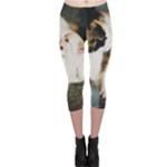 CALICO CAT AND WHITE KITTY Capri Leggings