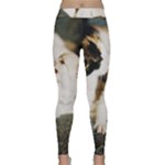 CALICO CAT AND WHITE KITTY Yoga Leggings