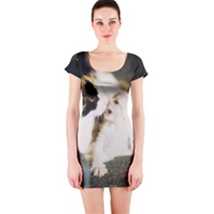 Calico Cat And White Kitty Short Sleeve Bodycon Dresses