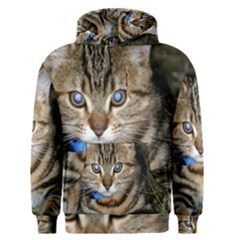 Blue-eyed Kitty Men s Pullover Hoodies by trendistuff