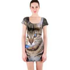 Blue-eyed Kitty Short Sleeve Bodycon Dresses