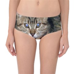 Blue-eyed Kitty Mid-waist Bikini Bottoms