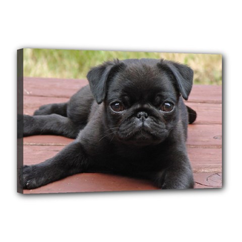 Alert Pug Puppy Canvas 18  X 12  by trendistuff