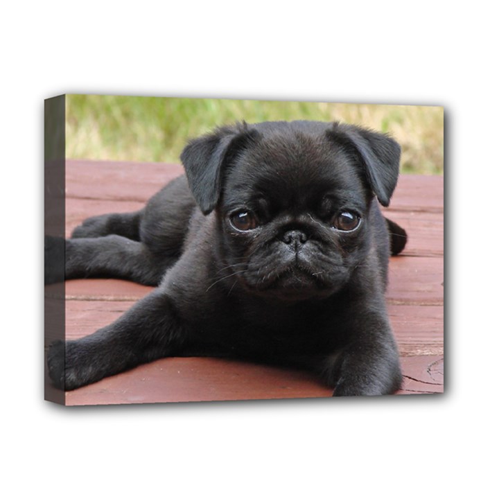 ALERT PUG PUPPY Deluxe Canvas 16  x 12  