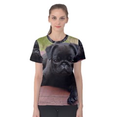 Alert Pug Puppy Women s Cotton Tee