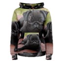 ALERT PUG PUPPY Women s Pullover Hoodies View1