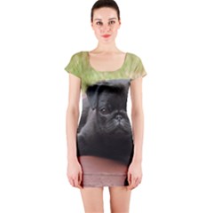 Alert Pug Puppy Short Sleeve Bodycon Dresses