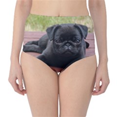 Alert Pug Puppy High-waist Bikini Bottoms