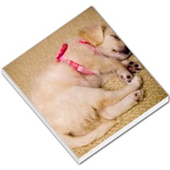 Adorable Sleeping Puppy Small Memo Pads by trendistuff