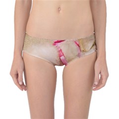 Adorable Sleeping Puppy Classic Bikini Bottoms