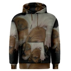 Adorable Baby Puppies Men s Pullover Hoodies by trendistuff