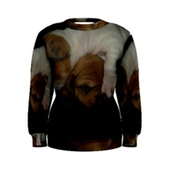 Adorable Baby Puppies Women s Sweatshirts by trendistuff