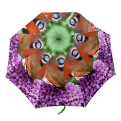 Peacock Butterfly Folding Umbrellas