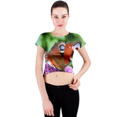 Peacock Butterfly Crew Neck Crop Top