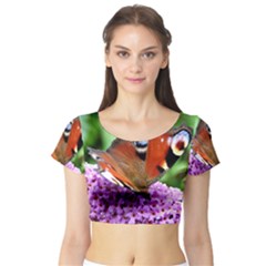 Peacock Butterfly Short Sleeve Crop Top by trendistuff