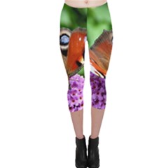 Peacock Butterfly Capri Leggings by trendistuff