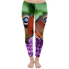 Peacock Butterfly Winter Leggings 