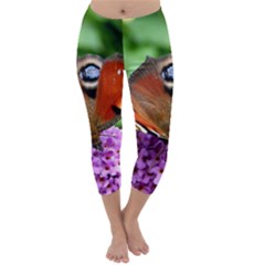 Peacock Butterfly Capri Winter Leggings  by trendistuff