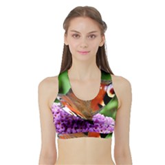 Peacock Butterfly Women s Sports Bra With Border