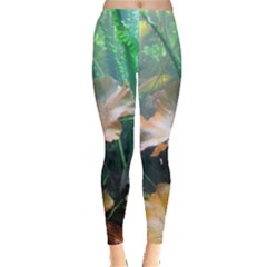 Marine Life Women s Leggings by trendistuff