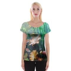 Marine Life Women s Cap Sleeve Top by trendistuff