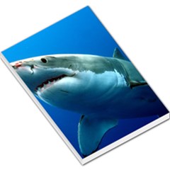 Great White Shark 3 Large Memo Pads