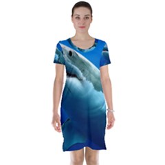 Great White Shark 3 Short Sleeve Nightdresses