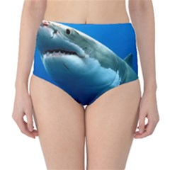 Great White Shark 3 High-waist Bikini Bottoms by trendistuff