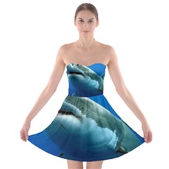 Great White Shark 3 Strapless Bra Top Dress