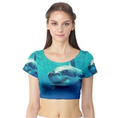 Great White Shark 1 Short Sleeve Crop Top by trendistuff