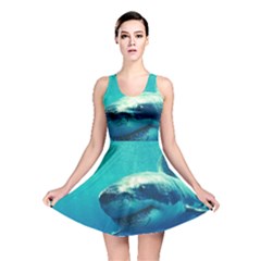 Great White Shark 1 Reversible Skater Dresses