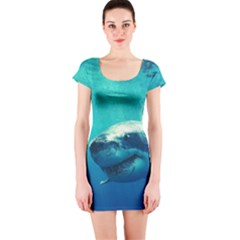 Great White Shark 1 Short Sleeve Bodycon Dresses