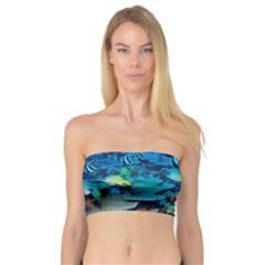 Fr Frigate Shoals Women s Bandeau Tops by trendistuff