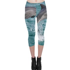 Dolphin Capri Leggings by trendistuff