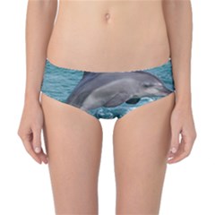 Dolphin Classic Bikini Bottoms