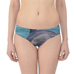 Dolphin Hipster Bikini Bottoms